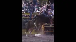 EL MOMENTO DE LA CA&Iacute;DA ENTRE TORO Y JINETE 👀