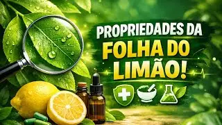 FOLHA DO LIMÃO  SERVE PRA REMÉDIO?