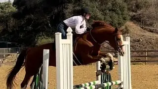 HOW TO CLEAN YOUR TACK! 