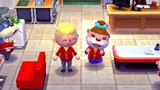 Journal #1 - Animal Crossing: Happy Home Designer