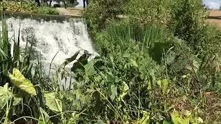 Espada Park and Dam (Calm) ASMR