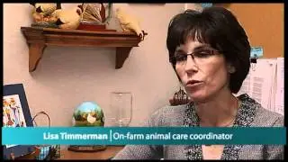 Animal Care on Ohio Egg Farms: The Well-Being of Egg-Laying Hens