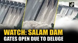 WATCH: Salal dam gates open to manage rising inflow after incessant rainfall hits J&K