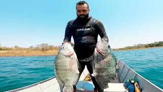 Pesca Sub - Tilápias do Centro-Oeste Brasileiro - Parte 1