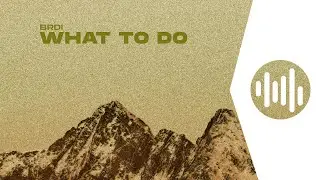 BRDI - What To Do