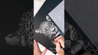 Etching coming to life #scratchboard #art #artprocess #drawing #drawingvideo #wildlifeart #artist