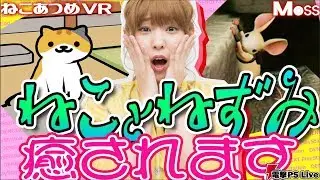 『ねこあつめ VR』『Moss』高槻かなこ猫とねずみに癒される【電撃PS Live】