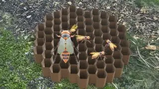 Giant Hornet  - Insect Simulator Gameplay