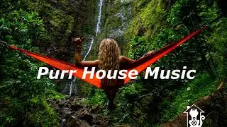 Kolinga - Kongo (Han&icirc;&acute;s Remix)