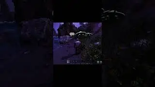 I joined a new Ark server and this happened