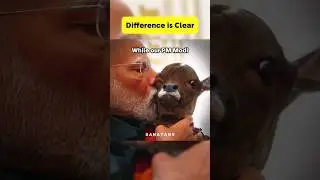 PM Modi New Family Member #sanatan #shorts