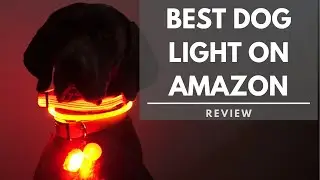 Best Dog Light On Amazon Review - $9 vs $35