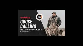 Goose Calling Seminar at Scheels Wichita be sure to check out Scheels events #goosecalling #goose