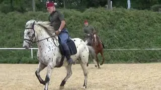 Stadl Paura 29.09.-01.10.2021