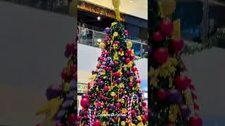 Colombo Christmas 2025 🎄 #city #ColomboChristmas #ColomboLife# ColomboVibes #SriLankaChristmas