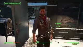 Fallout 4 (modded) but only 5 minutes a day (43)