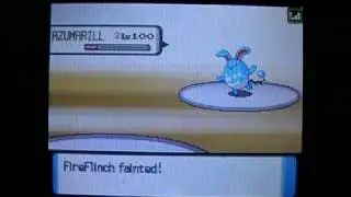 Battle against - PokemonExpert3525 vs. PokemonMarioMaster - Bro vs. Bro
