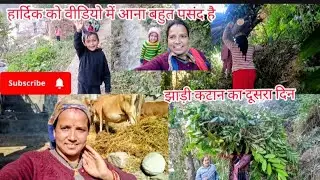 भालू- तेंदुए के डर के बीच झाड़ी कटान। दूसरा दिन। छोटा हार्दिक बना वीडियो स्टार⭐