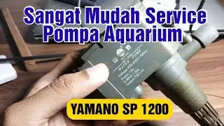 JANGAN DI BUANG POMPA AQUARIUM MATI, Sapa tau rusaknya cuman kayak gini // YAMANO Sp 1200