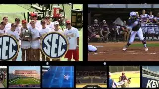 2015 SEC PSA