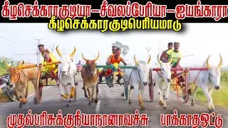 பெரியமாடு கீழசெக்காரக்குடி பந்தயம்