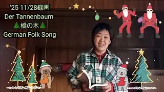 Der Tannenbaum 🌲樅の木🌲German Folk Song '25 11/28録画 🌟Merry X'mas🎄🌟