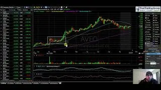 Я проиграл, другие выиграли $AVEO $SGMO