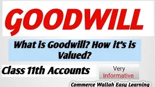 GOODWILL| What is Goodwill ?| How it is Valued ?| Important Accounting Concepts