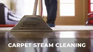 Steam Carpet Cleaning - Calgary