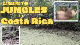 A Jungle Canoe Cruise at the Sloth Sanctuary of Costa Rica