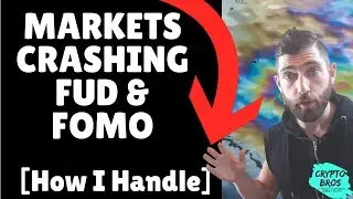 Crashing Markets, Fud & Fomo [How I Am Handling]