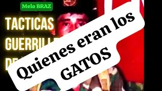 💯LOS GATOS🔥
