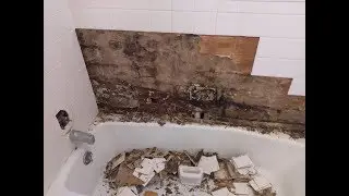 Shower Water Damage Mold Disaster