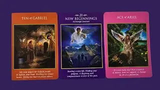 DAILY TAROT READING - 23 JANUARY 2026 - NEW BEGINNINGS, RE-CALIBRATE YOUR WORK & RESPONSIBILITIES