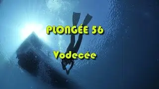 Plongée 56 (25m) Carrière de Vodecée - BELGIQUE