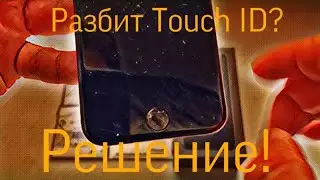 Разбит Touch ID ? Решение!