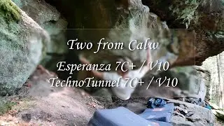 Two from Calw (Curcuma & Steroids Edition)