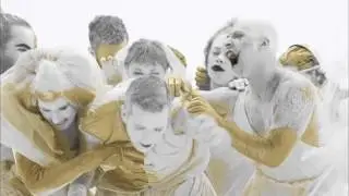 DIFF 2013 Trailer