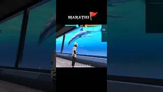 Freefire मराठी🔥❤️| नवीन map मध्ये कागदाचा मासा 😂 scam आहे हा🤡|#freefiremarathi #मराठी #shorts