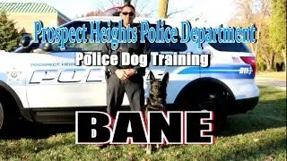 Prospect Heights Police Department