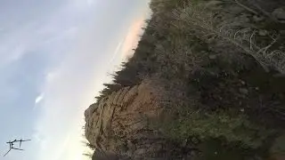 Bye Sun - Freestyle Shrike
