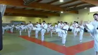 Oshukai Kenyu Chinen karaté Beaugency 2014
