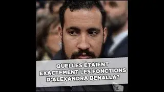 Quelles &eacute;taient exactement les fonctions d'Alexandre Benalla?