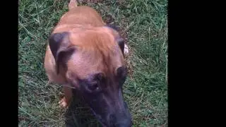 Nyla's Story: A Most Remarkable Transformation