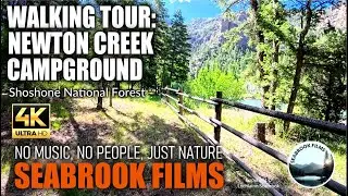 Walking Tour: Newton Creek Campground, Shoshone National Forest