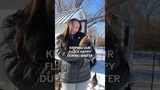 WINTER WITH CHICKENS: How We Keep Our Flock Healthy & Happy #backyardchickens #eatonpppartner