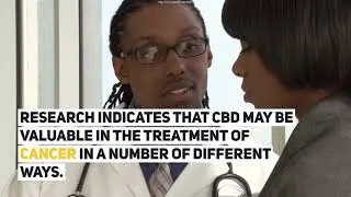 CBD Oil Near Me Massachusetts? | 5 Health And Wellness Perks of CBD Oil