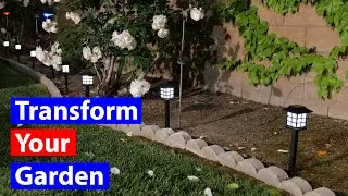 Solar Pathway Lights by Cinoton | Transform Your Garden