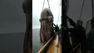 Before vs After Animals and | Amazing Transformations