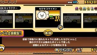 【にゃんこ大戦争】チビウシネコに挑戦したよ